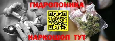 молекула духа Кулебаки