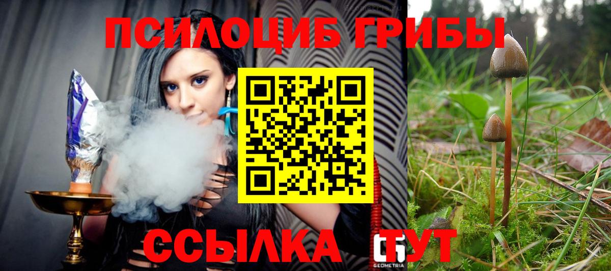 купить  цена  Псилоцибиновые грибы Psilocybe  Вход с VPN  Еманжелинск 